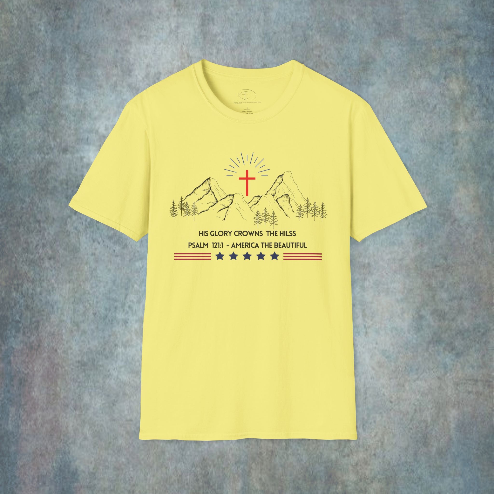 America The Beautiful T-Shirt