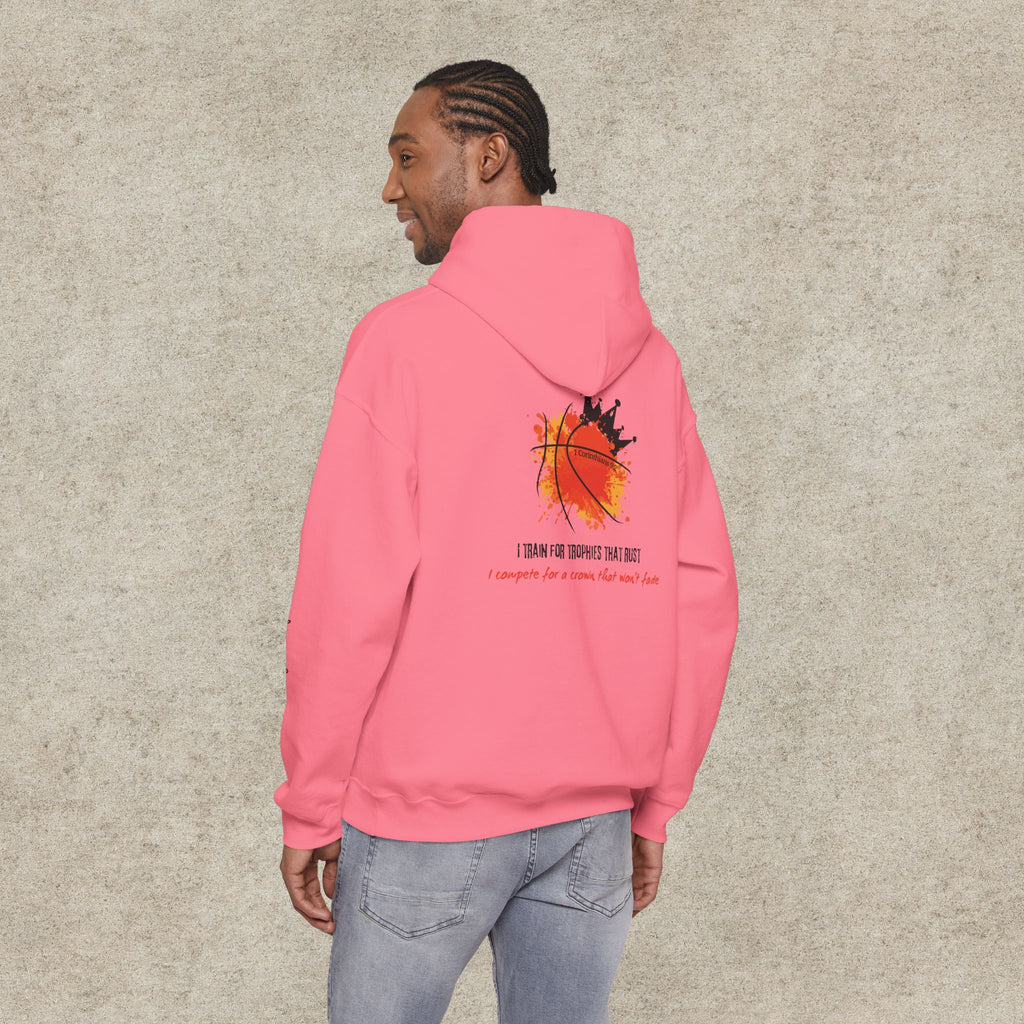 I train for trophies that rust Hoodie